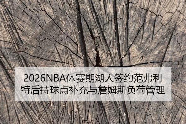 2026NBA休赛期湖人签约范弗利特后持球点补充与詹姆斯负荷管理