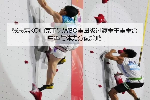 张志磊KO帕克卫冕WBO重量级过渡拳王重拳命中率与体力分配策略